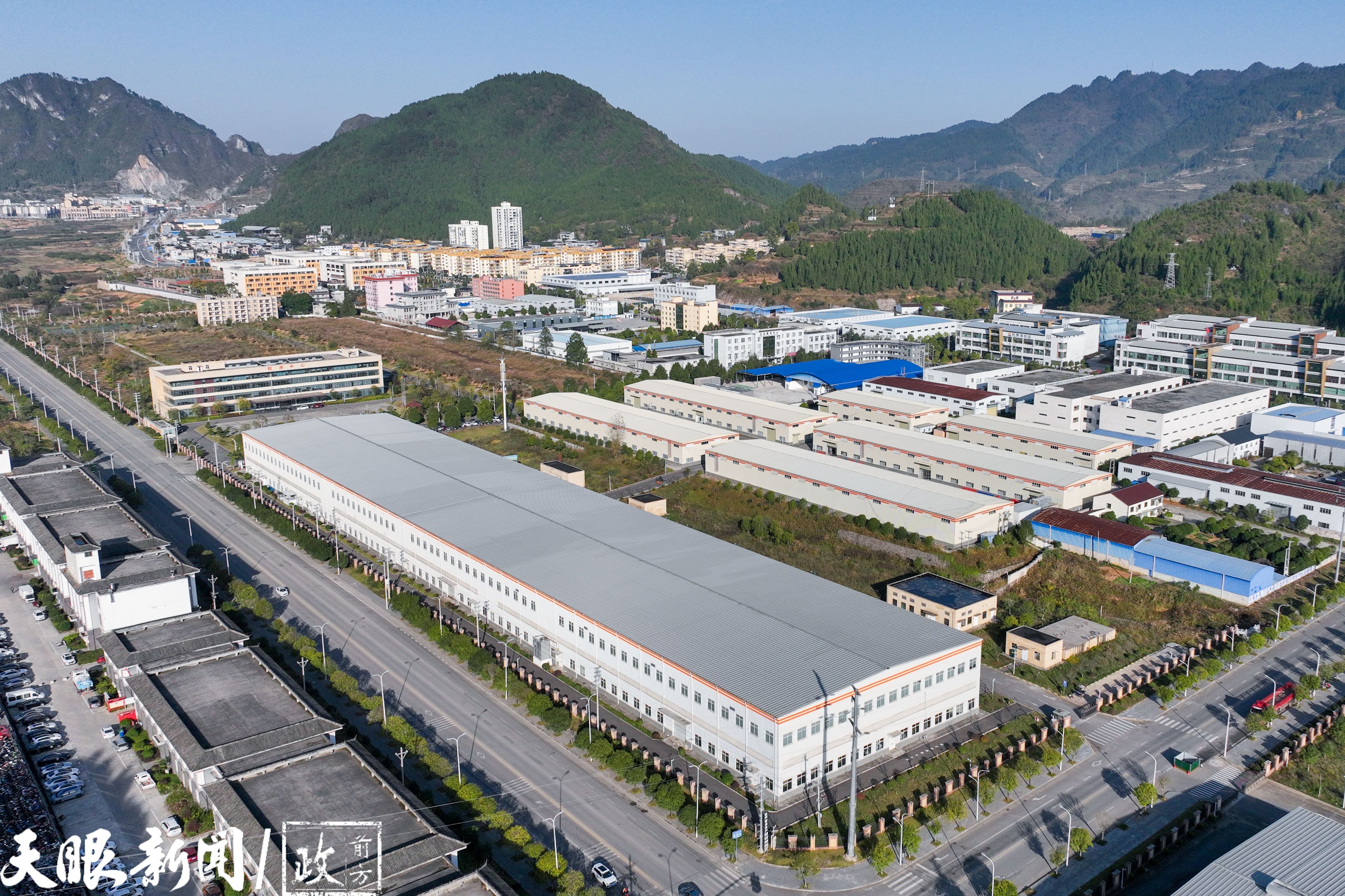 一“抹”贵州茶香飘全世界