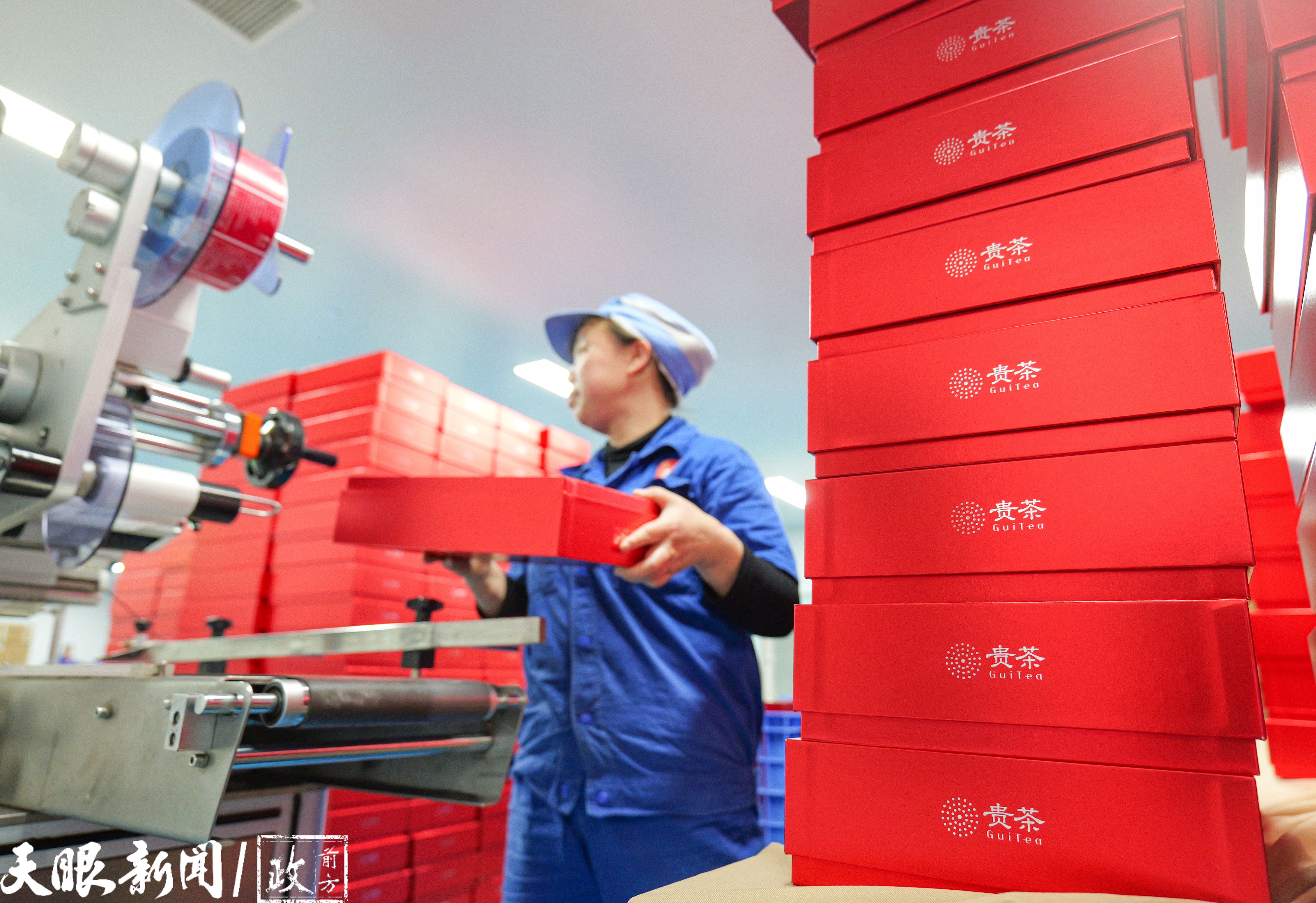 一“抹”贵州茶香飘全世界