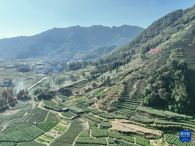 党建引领 产业做强——“中国扶贫第一村”赤溪乡村振兴蹲点观察 党建引领 产业做强——“中国扶贫第一村”赤溪乡村振兴蹲点观察