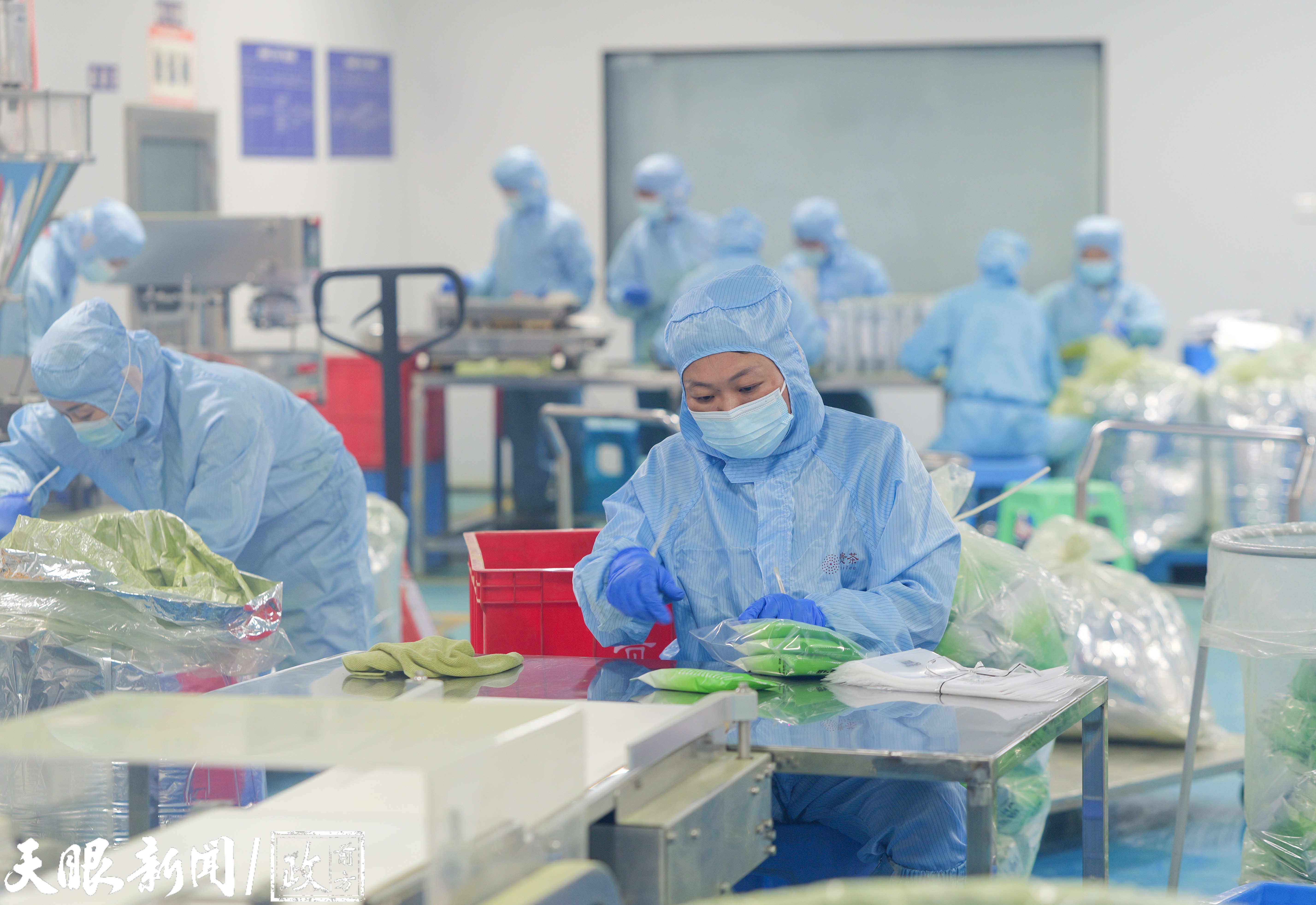 一“抹”贵州茶香飘全世界