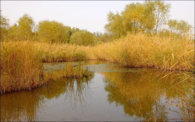 图片默认标题_fororder_191024aosenqiuse3