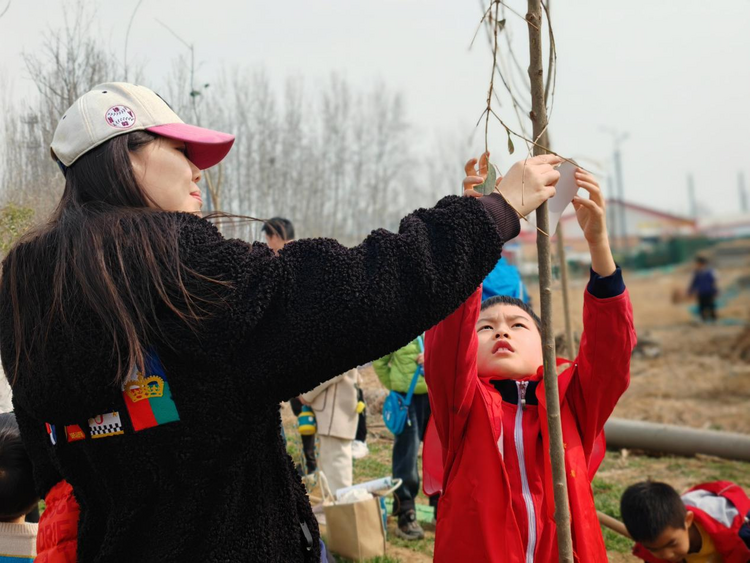 石家庄市新华区:开展丰富多彩的植树节活动_fororder_图片 1
