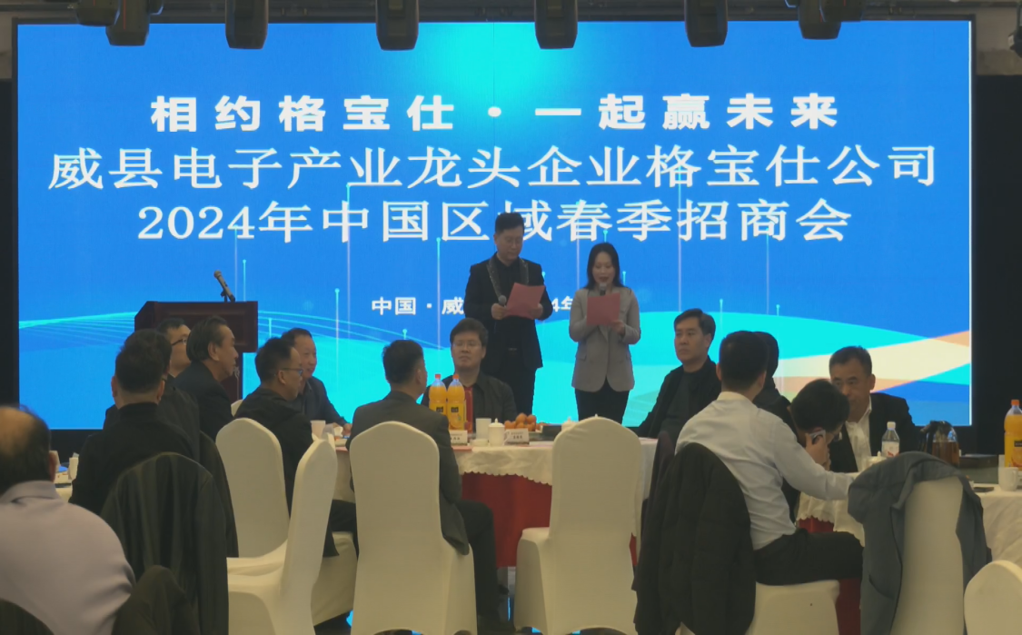 河北威县举办电子产业2024年中国区域春季招商会_fororder_图片 2