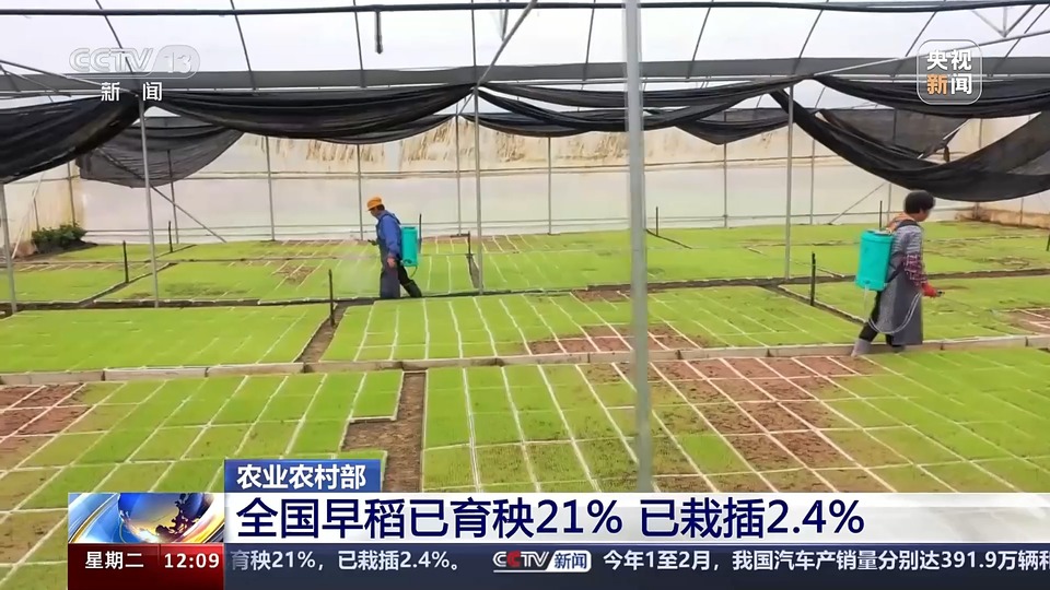 满眼都是生机勃勃!我国粮食主产区春耕春管进展顺利