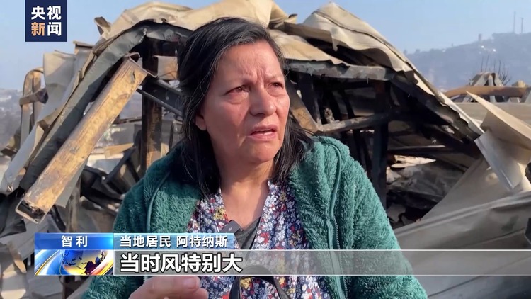 智利森林火灾幸存者回忆事发惊险时刻:就像经历了一场轰炸