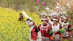 贵州丹寨：春光美引游人