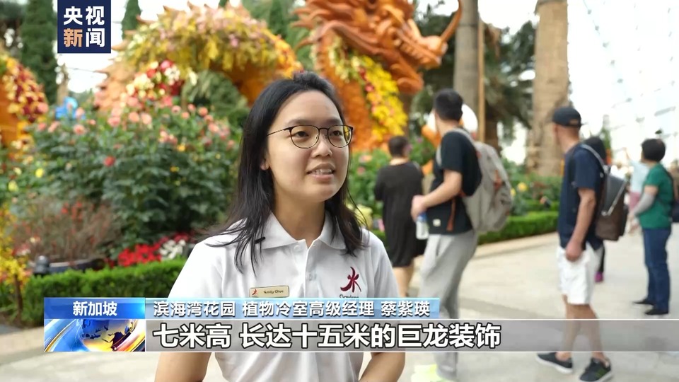 买年货 写春联 赏花灯 新加坡浓浓年味迎龙年
