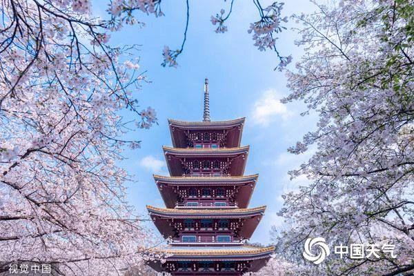 春天去哪儿看花?这份全国春日赏花地图带你找找灵感