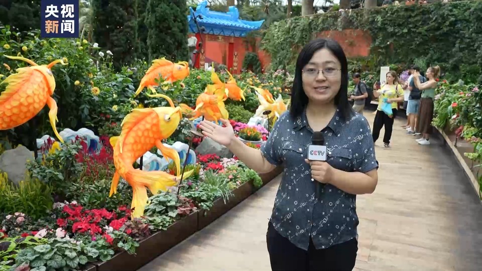 买年货 写春联 赏花灯 新加坡浓浓年味迎龙年