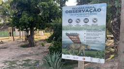厄尔尼诺现象影响潘塔纳尔美洲豹栖息地 巴西采取多重保护措施