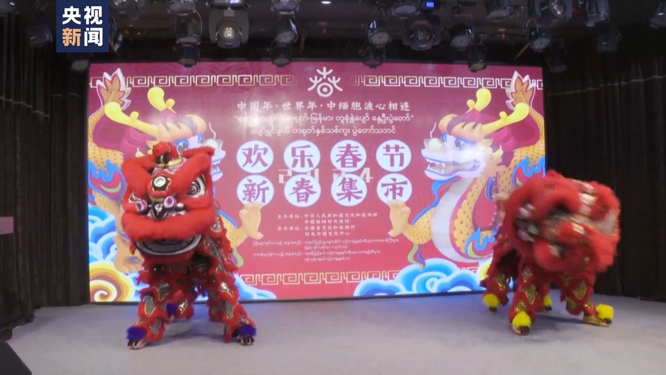 贺新春 多国举行形式多样庆祝活动
