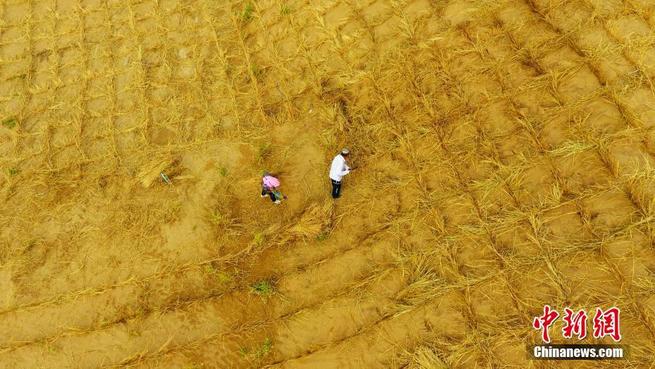 图片默认标题_fororder_FOREIGN201910241615000008429250865