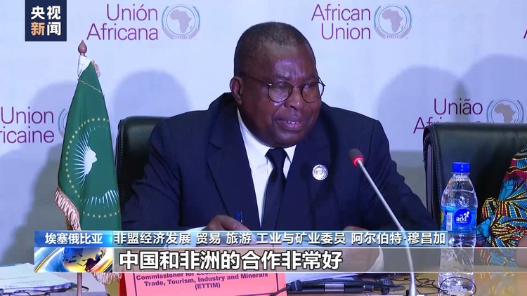 非洲联盟第37届首脑会议开幕 非盟多位官员积极评价中非合作