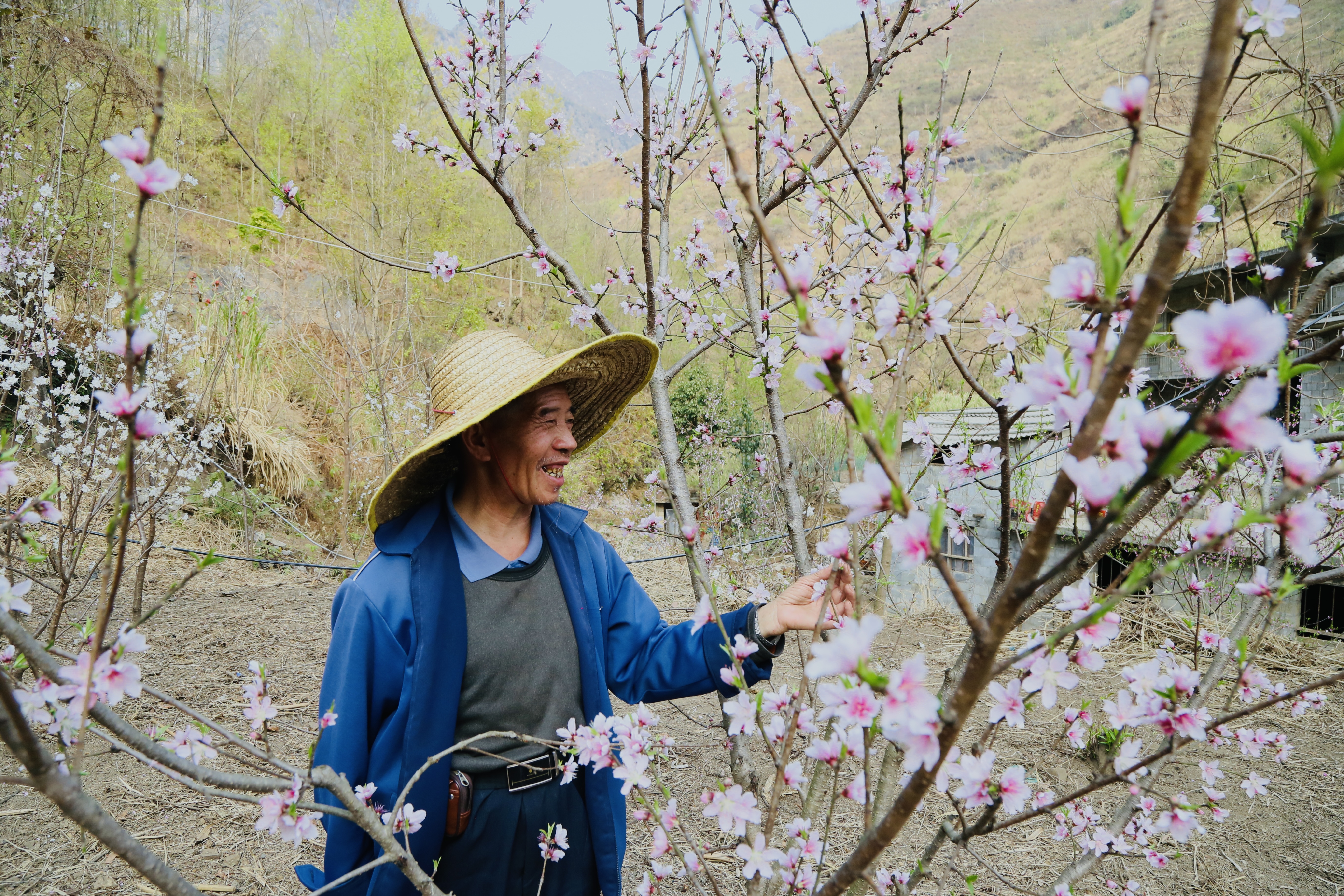 贵州水城陡箐“三朵花” 接二连三富农家