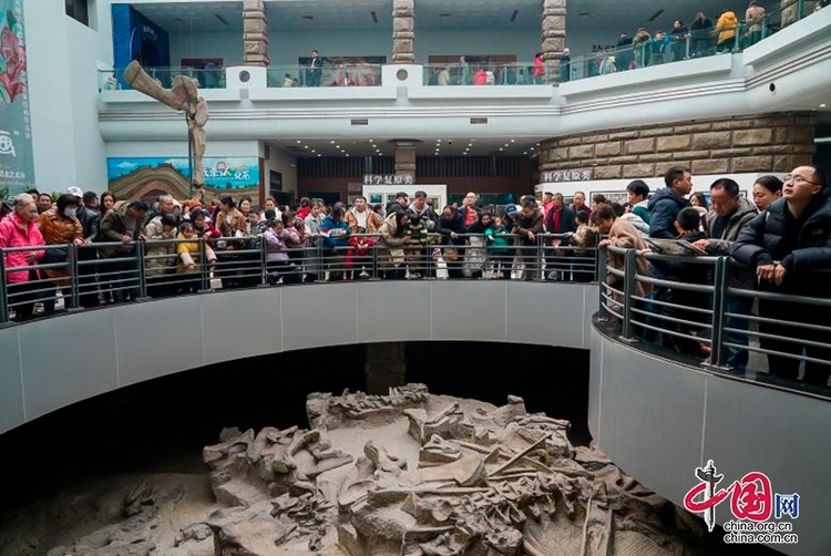 （转载）龙年春节超24万人次争相打卡自贡恐龙博物馆