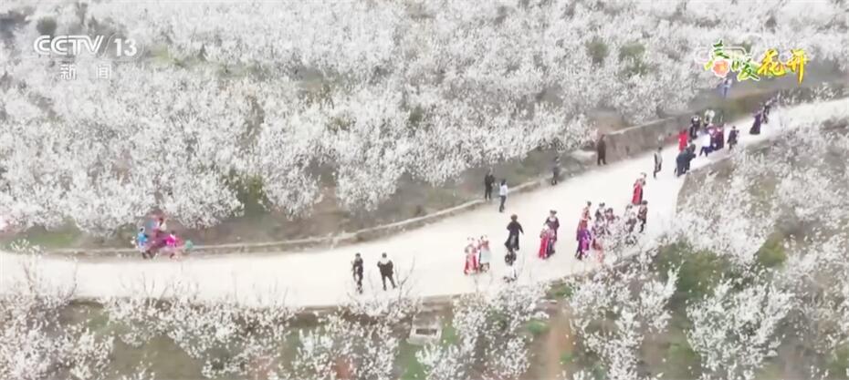 以“花”为媒持续推动农旅融合 各地经济发展“春暖花开”朝气蓬勃