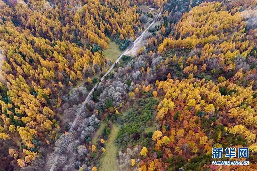 新华网：“多彩”黄土高原