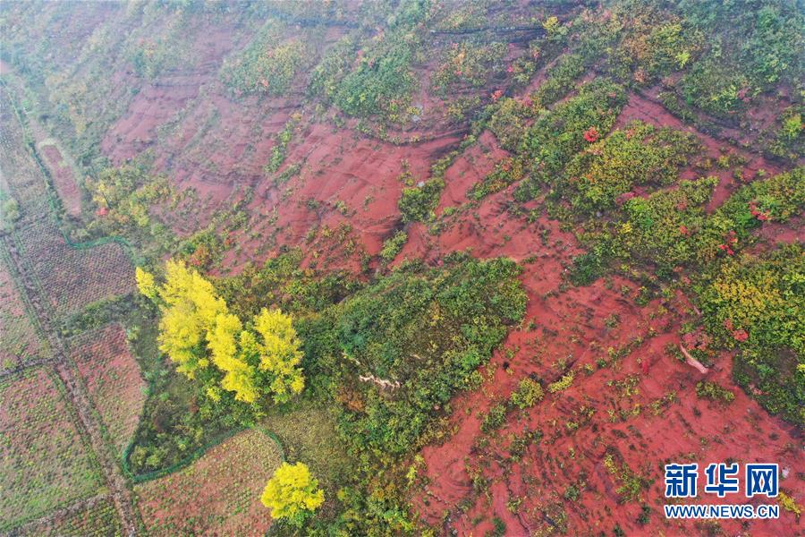 新华网：“多彩”黄土高原