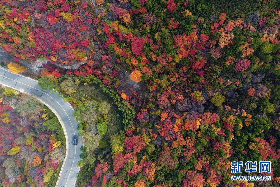 新华网：“多彩”黄土高原