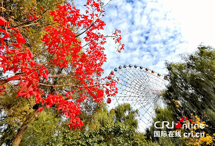 02【吉林】【原创】长春:最是一年秋好处