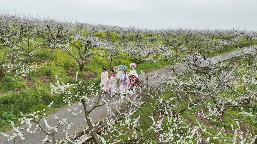 贵州镇远举行第二届“花语节”活动 邀游客游古城赏春景