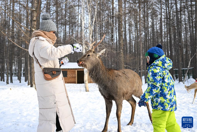 “十四冬”激发内蒙古冰雪新动能 “十四冬”激发内蒙古冰雪新动能