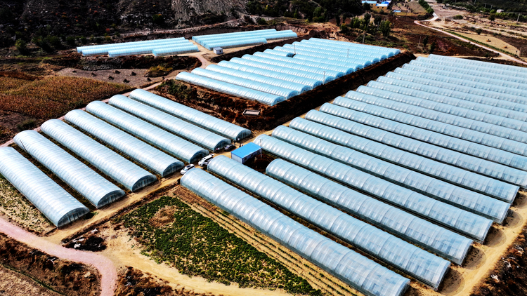 榆林府谷:“千亿之城”乘风起 跃上潮头满目新_fororder_图片14