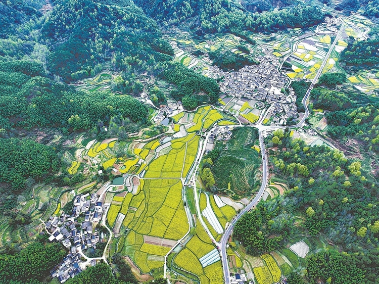 黄山市创新推出文旅新品月度发布会_fororder_af23daee-911a-46ca-8d76-a02140cea234