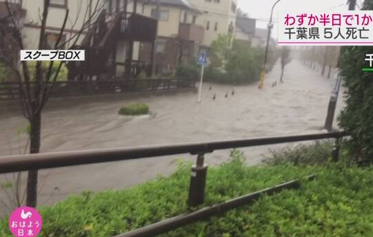 「海外网」两大台风过境后 日本千叶县又遭暴雨：已致8死