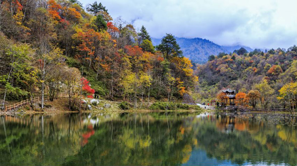 图片默认标题_fororder_二郎山喇叭河景区金秋美景-供图-雅安市天全