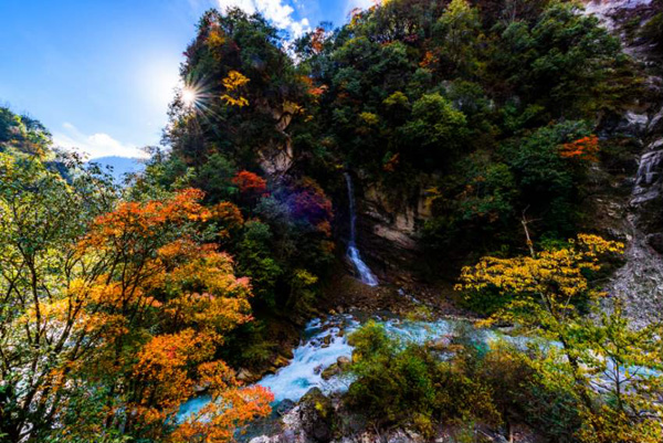 图片默认标题_fororder_二郎山喇叭河景区金秋美景--供图--雅安市天全