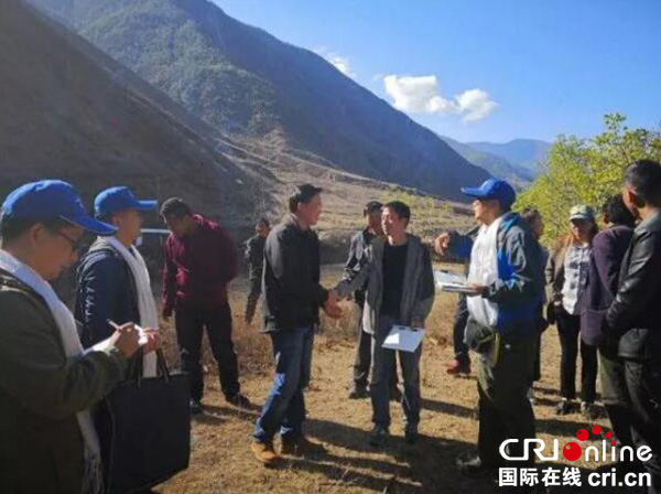 图片默认标题_fororder_专家组实地调研现场