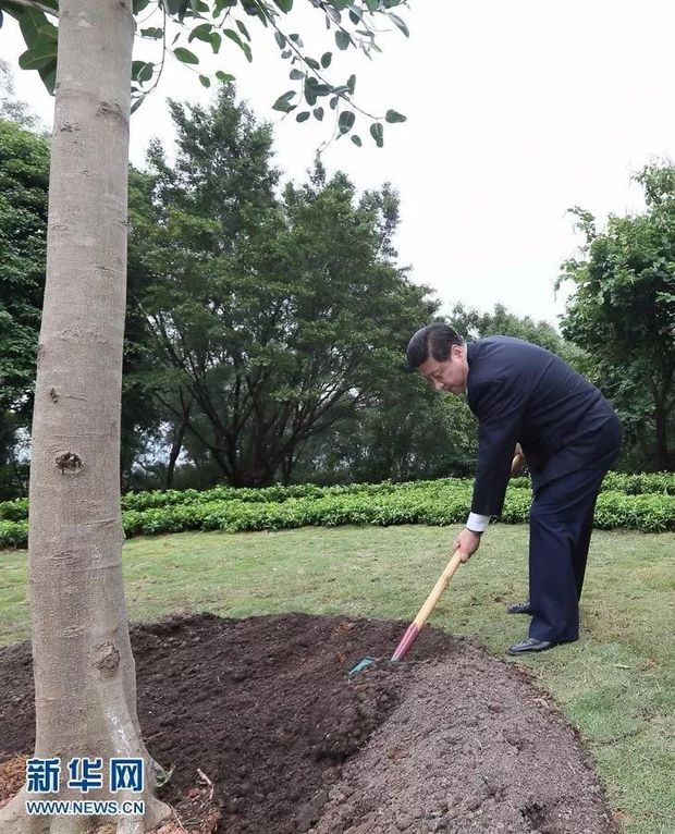 共同营造和谐宜居的人类家园 | 听，习总书记论改革开放