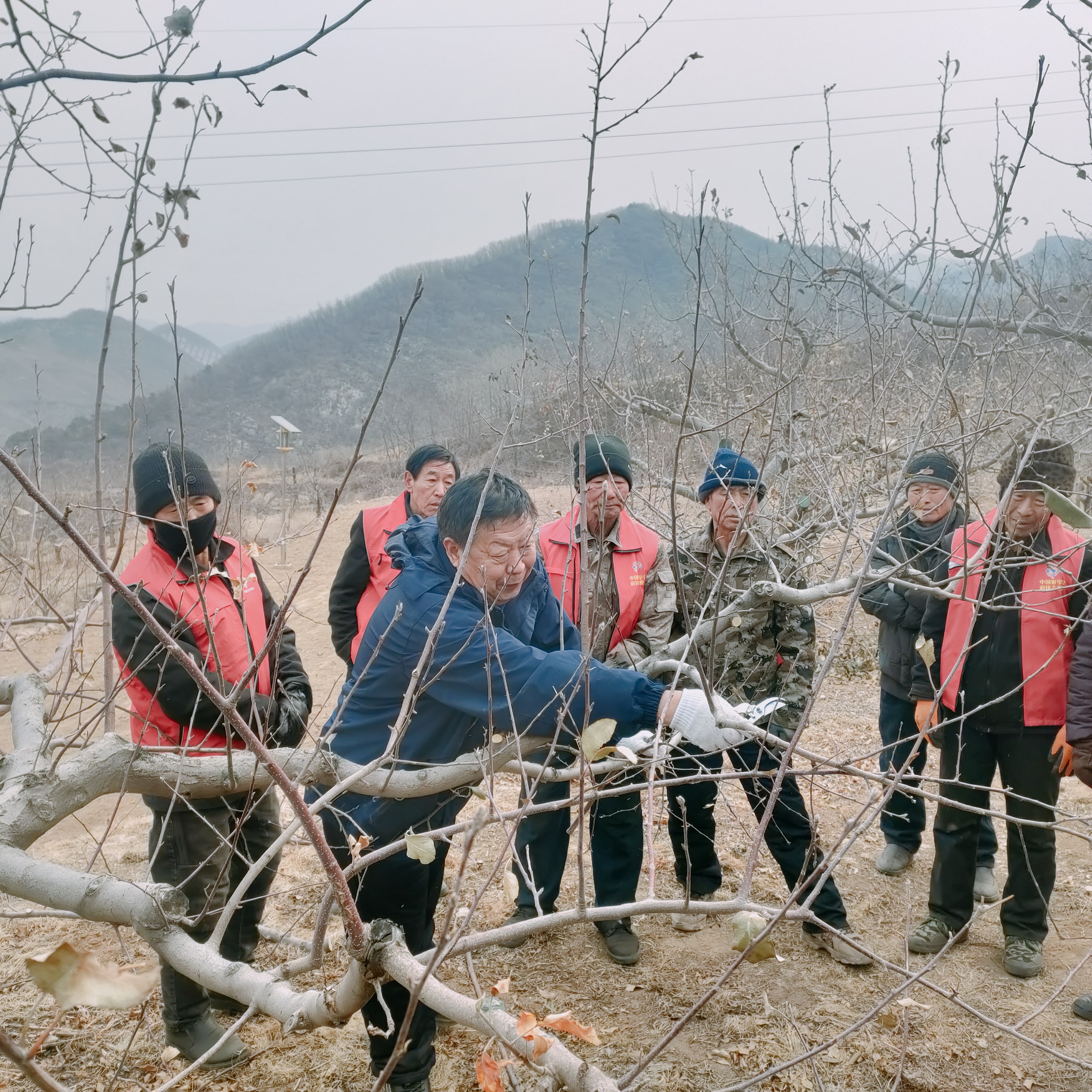 河北承德县:果树“巡剪”正当时 提质增效促增_fororder_图一为:志愿者为果农们现场讲解果树管护知识。高兴国 摄