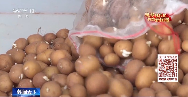 我从基层来丨全国政协委员王舰：扎根高原39年 让马铃薯变成“金豆豆”