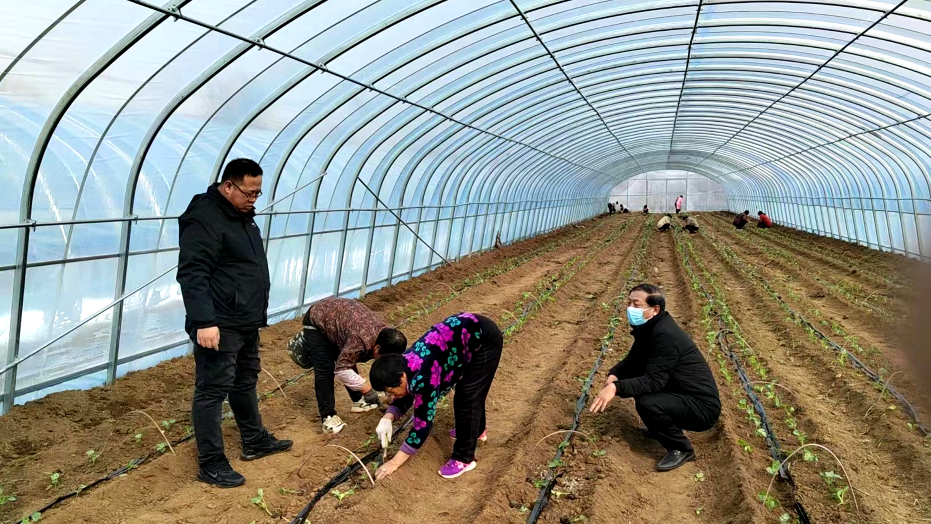 河北唐县:农技指导“护航”春耕备播_fororder_农业技术人员在一蔬菜瓜果采摘基地指导西瓜种植