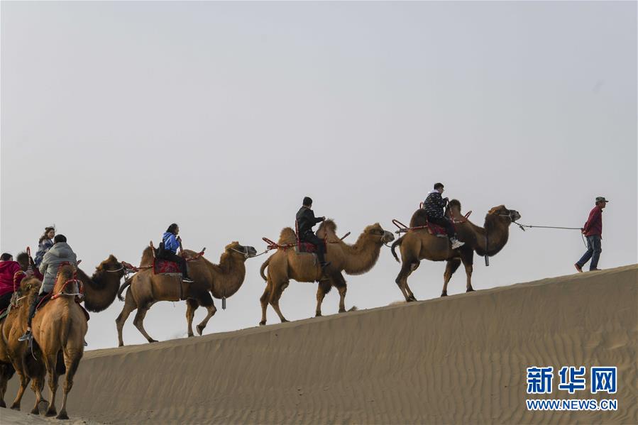 「新华网」醉美新疆金秋胡杨