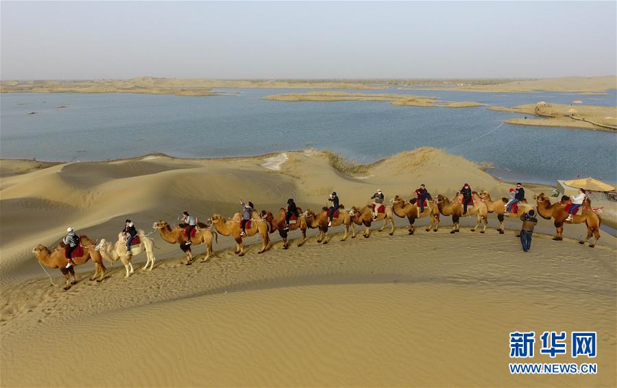 「新华网」醉美新疆金秋胡杨