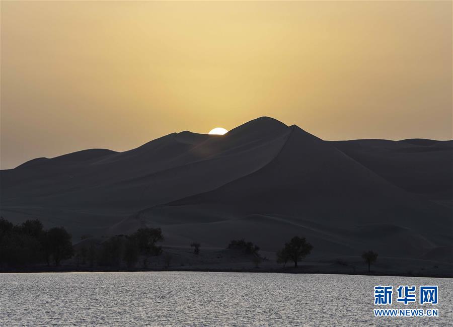 「新华网」醉美新疆金秋胡杨