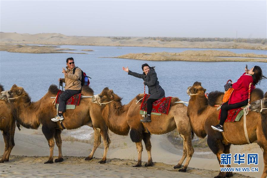 「新华网」醉美新疆金秋胡杨