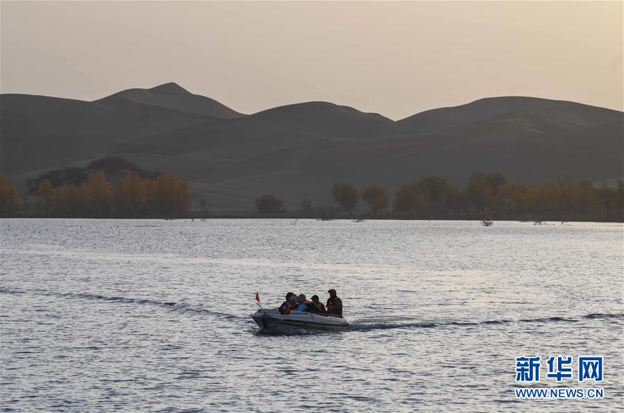 「新华网」醉美新疆金秋胡杨