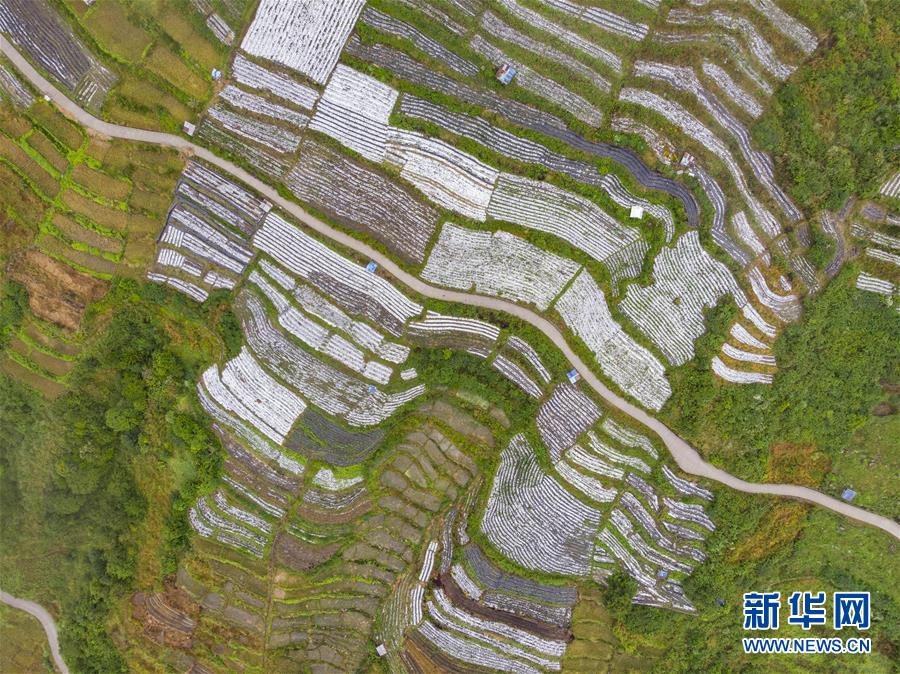 「新华网」西藏墨脱：“莲花秘境”风景怡人