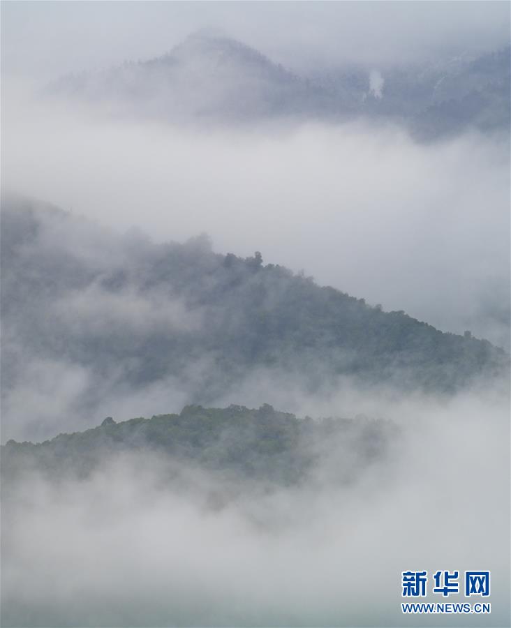 「新华网」西藏墨脱：“莲花秘境”风景怡人