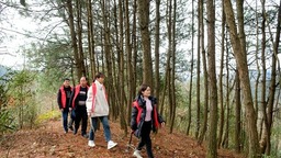 贵州天柱：增强群众森林防火意识 切实织牢森林防火“防护网”