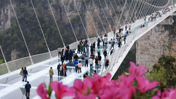 清明假期，湖南累计接待游客1491.37万人次