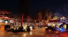 武汉东湖樱花节浪漫开幕