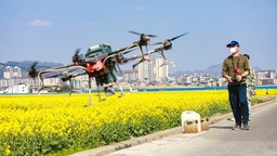 贵州天柱：无人机“飞防”作业 “护航”油菜稳产增收