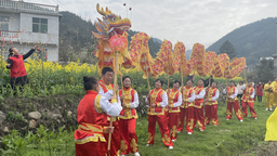 湖南桂东举行“我们的节日·麻雀节”