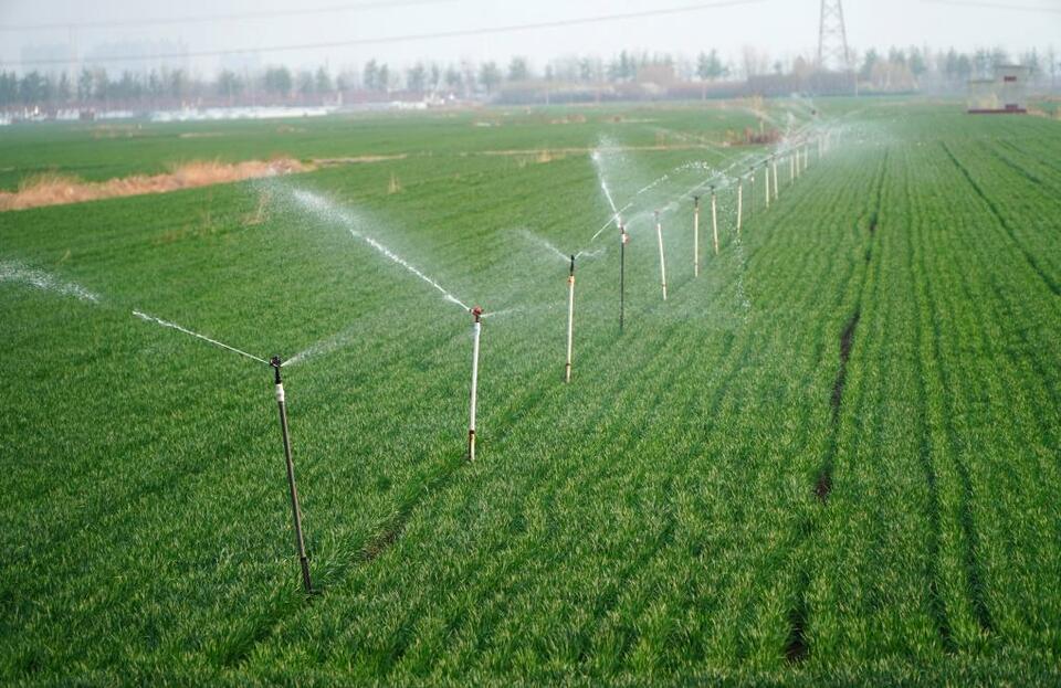 山东潍坊：小麦春季灌溉忙