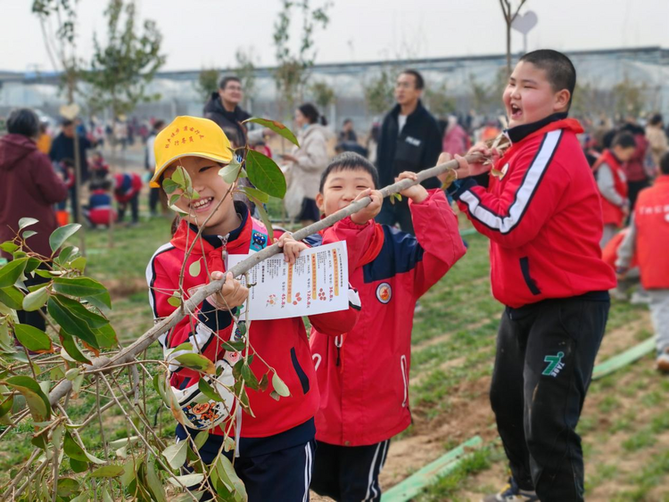 石家庄市新华区:开展丰富多彩的植树节活动_fororder_图片 2
